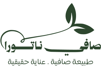 safinatura.com
